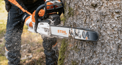 Snoeizaag - Kettingzaag